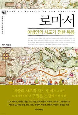 로마서 : 이방인의 사도가 전한 복음 cover