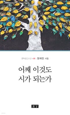 어째 이것도 시가 되는가 표지