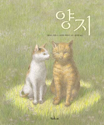 양지 표지