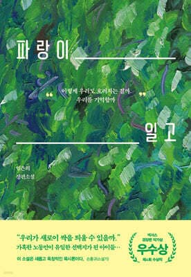 파랑이 일고 표지