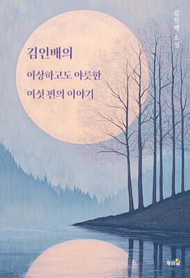 김인배의 이상하고도 야릇한 여섯 편의 이야기 표지