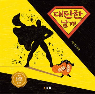 대단한 날개 표지