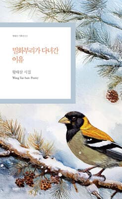 밀화부리가 다녀간 이유 표지