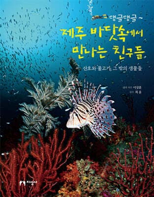 댕글댕글~ 제주 바닷속에서 만나는 친구들 표지