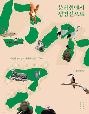분단선에서 생명선으로 표지