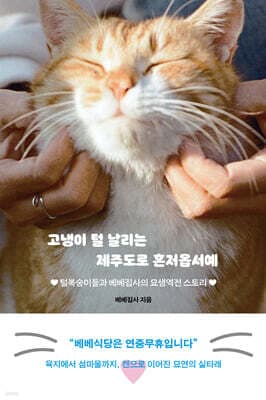 고냉이 털 날리는 제주도로 혼저옵서예 표지