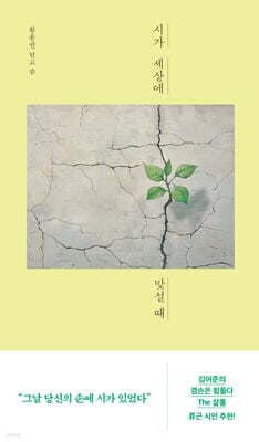 시가 세상에 맞설 때 표지