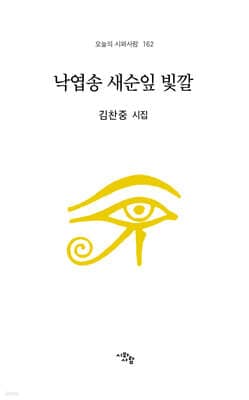 낙엽송 새순잎 빛깔 표지
