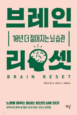 브레인 리셋 표지