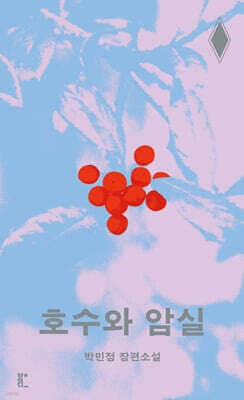 호수와 암실 표지