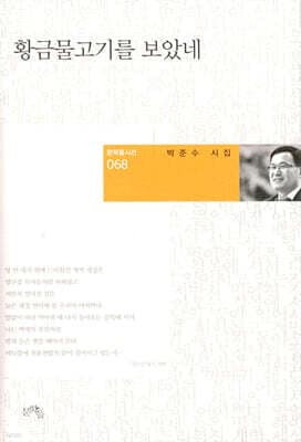 황금물고기를 보았네 표지