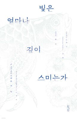 빛은 얼마나 깊이 스미는가 표지