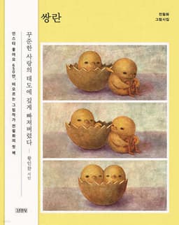 쌍란 cover