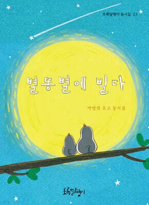 별똥별에 빌다 표지