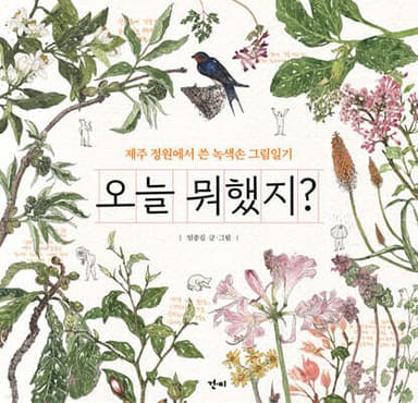 오늘 뭐했지? 표지