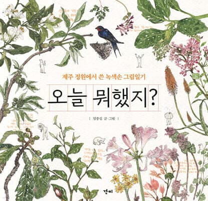 오늘 뭐했지? 표지