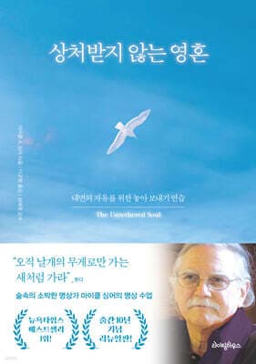 상처받지 않는 영혼 (10주년 기념판) 표지