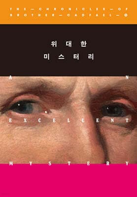 위대한 미스터리 cover