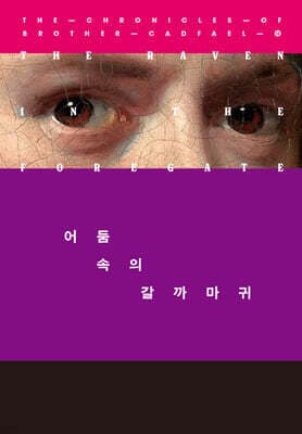 어둠 속의 갈까마귀 표지