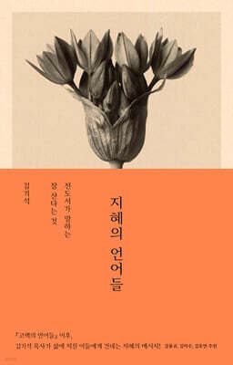 지혜의 언어들 표지