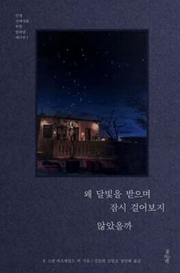 왜 달빛을 받으며 잠시 걸어보지 않았을까 표지
