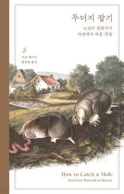 두더지 잡기 표지
