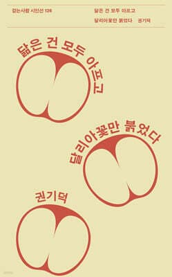 닮은 건 모두 아프고 달리아꽃만 붉었다 표지
