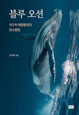 블루 오션 cover