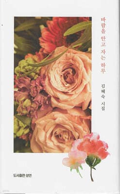 바람을 안고 자는 하루 표지