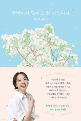반짝이지 않아도 잘 지냅니다 표지