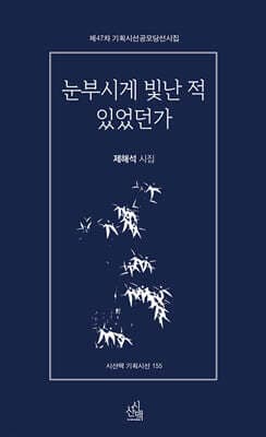 눈부시게 빛난 적 있었던가 표지
