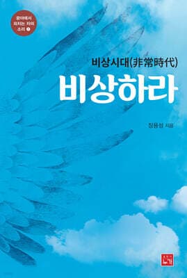 비상시대 비상하라 표지