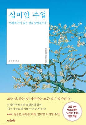 심미안 수업 cover