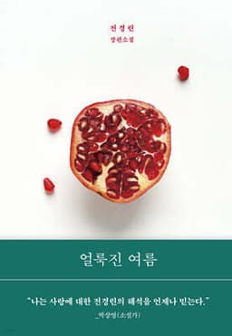얼룩진 여름 표지
