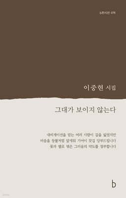 그대가 보이지 않는다 표지