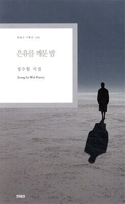 은유를 깨문 밤 표지