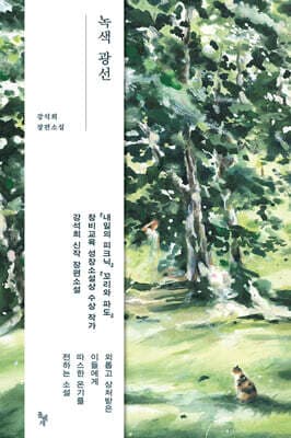 녹색 광선 표지