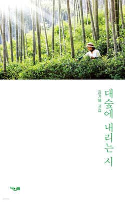 대숲에 내리는 시 표지