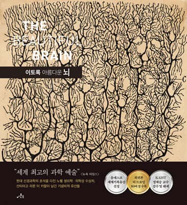 이토록 아름다운 뇌 표지