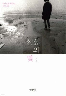 환상의 빛 cover