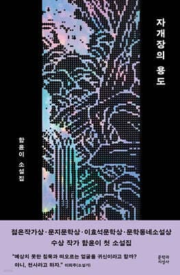 자개장의 용도 cover