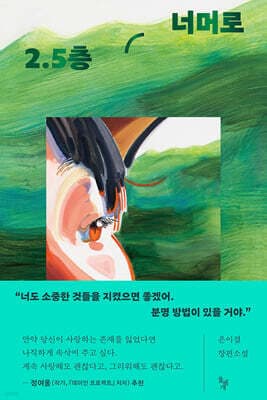 2.5층 너머로 cover