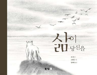 삶이 당신을 표지