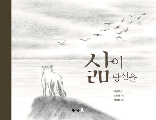삶이 당신을 표지