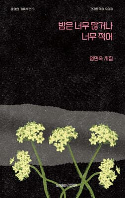 밤은 너무 많거나 너무 적어 표지