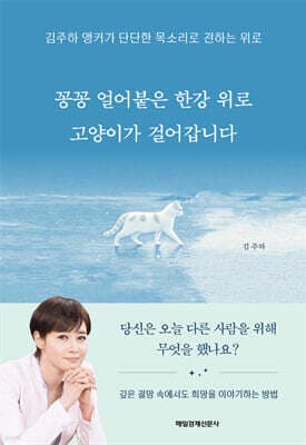 꽁꽁 얼어붙은 한강 위로 고양이가 걸어갑니다 표지