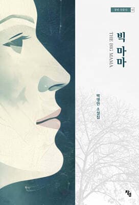 빅 마마 표지