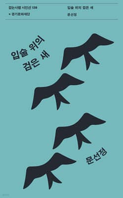 입술 위의 검은 새 표지