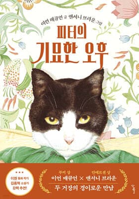 피터의 기묘한 오후 표지