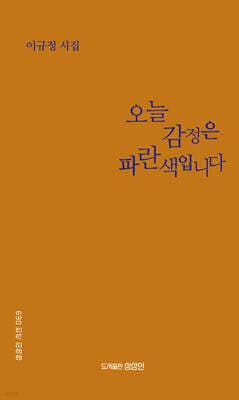 오늘 감정은 파란색입니다 표지